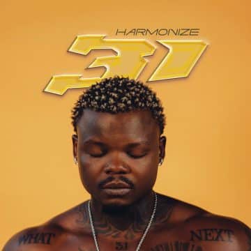 Album, Lyrics 31 Harmonize